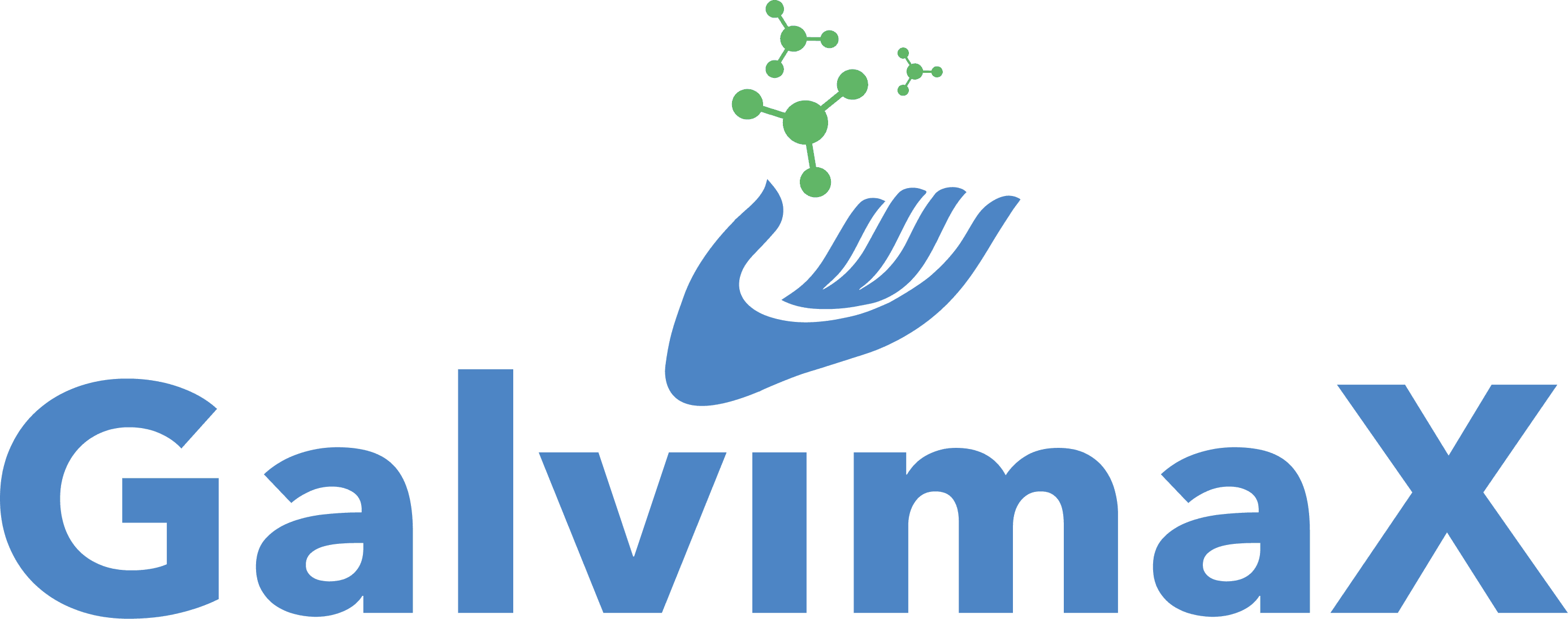 GalvimaX Logo