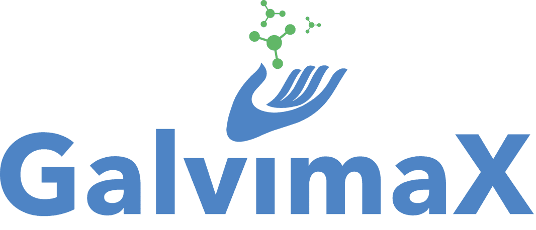 GalvimaX Logo